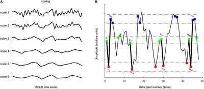 Reduced Dynamic Complexity of BOLD Signals Differentiates Mild Cognitive Impairment From Normal Aging